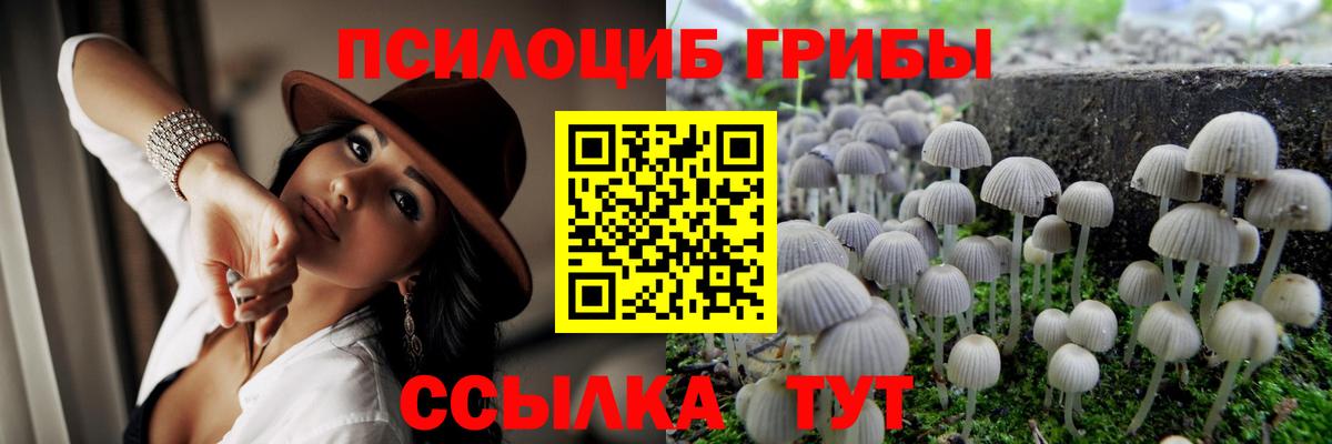 Озёрск  Псилоцибиновые грибы ЛСД  Вход с VPN 